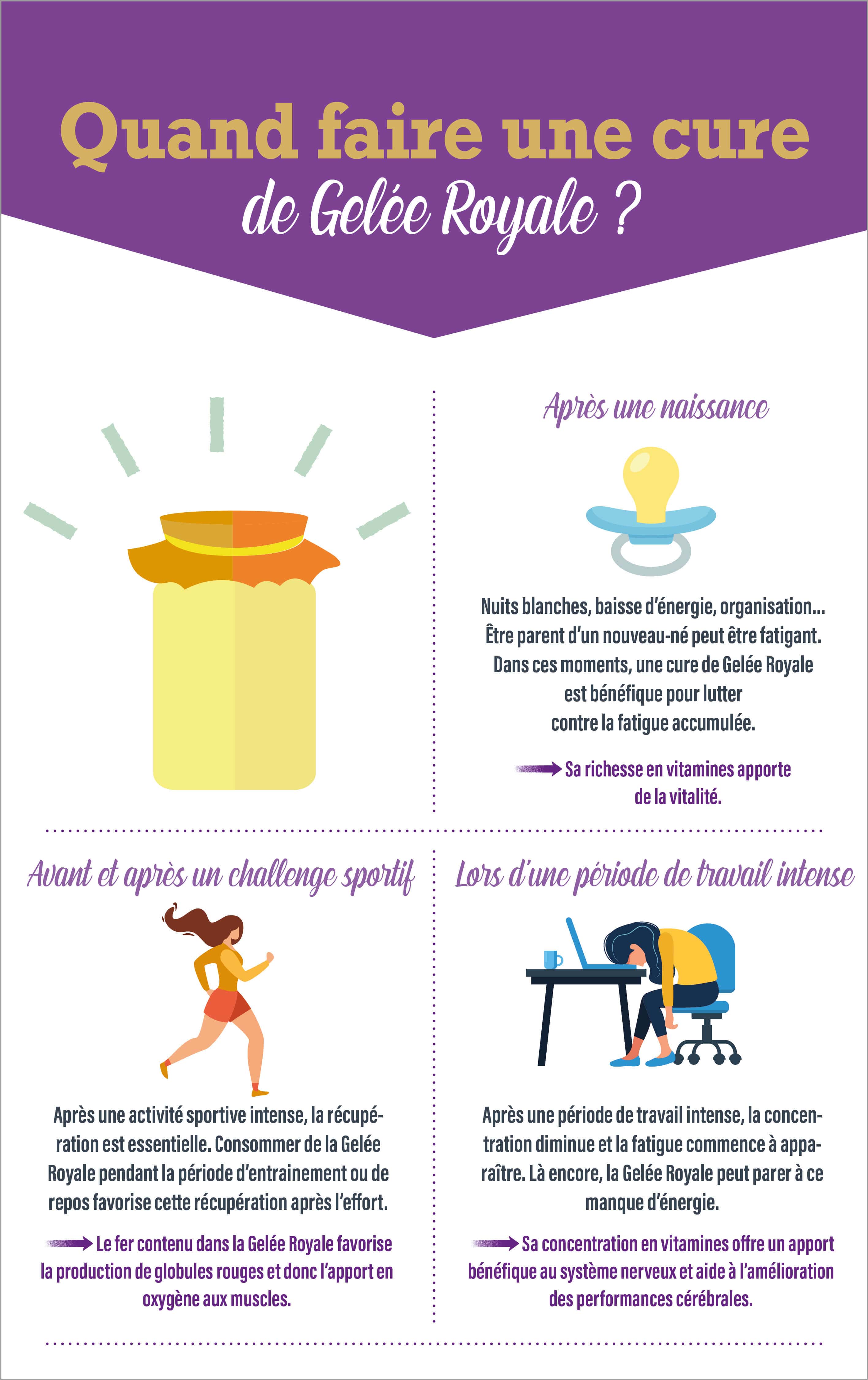 Infographie sur quand faire une cure de gelée royale