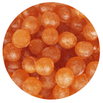 CA32 Pastilles Vitalité